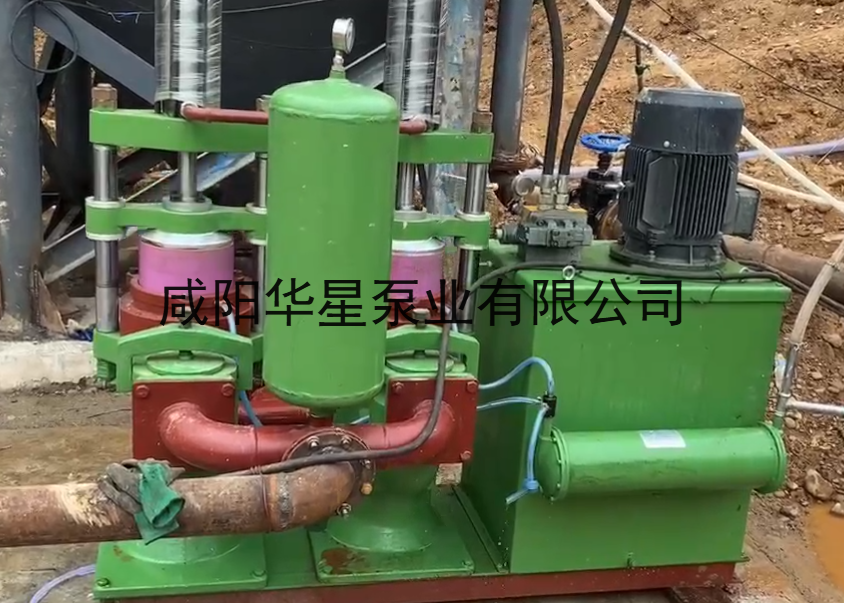 IMG_202601198557 IMG_202601198557