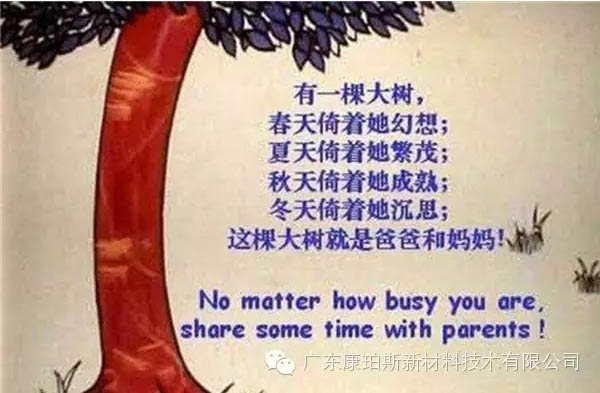 樹就是我們的父母！請愛護你們身邊的這棵樹！